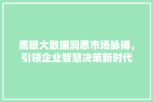 鹰眼大数据洞悉市场脉搏，引领企业智慧决策新时代  第1张