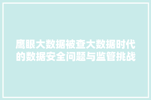 鹰眼大数据被查大数据时代的数据安全问题与监管挑战