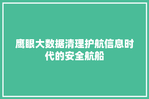 鹰眼大数据清理护航信息时代的安全航船  第1张