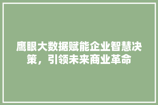 鹰眼大数据赋能企业智慧决策，引领未来商业革命