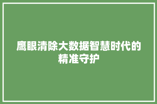 鹰眼清除大数据智慧时代的精准守护  第1张