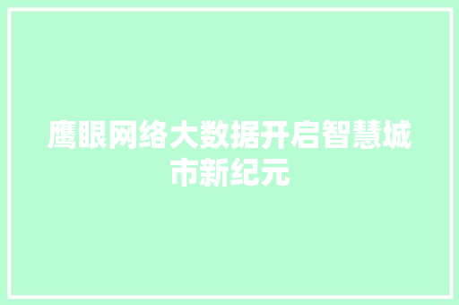 鹰眼网络大数据开启智慧城市新纪元