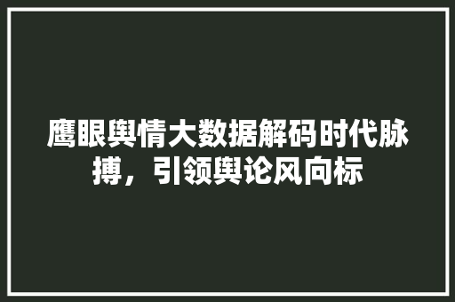 鹰眼舆情大数据解码时代脉搏，引领舆论风向标