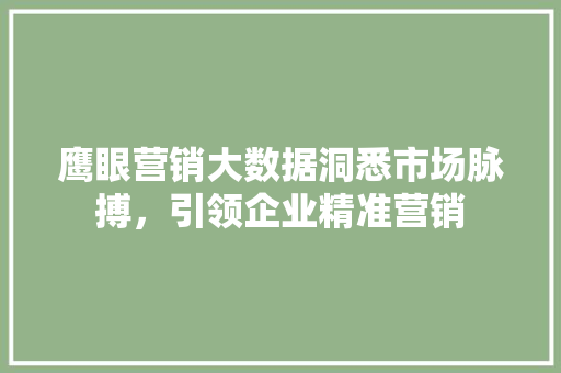 鹰眼营销大数据洞悉市场脉搏，引领企业精准营销
