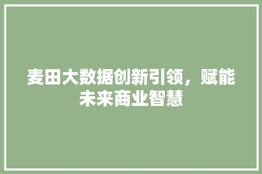 麦田大数据创新引领，赋能未来商业智慧  第1张