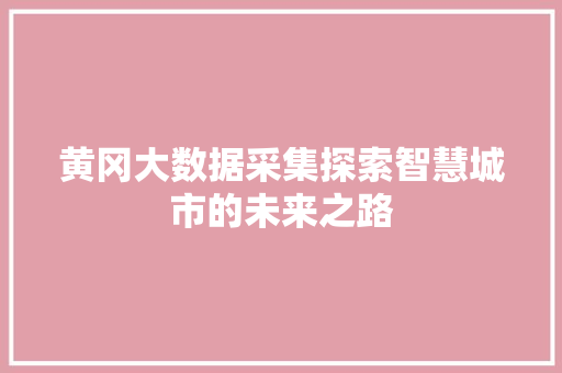 黄冈大数据采集探索智慧城市的未来之路