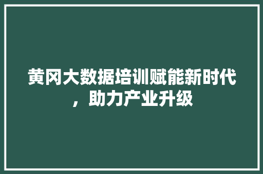 黄冈大数据培训赋能新时代，助力产业升级