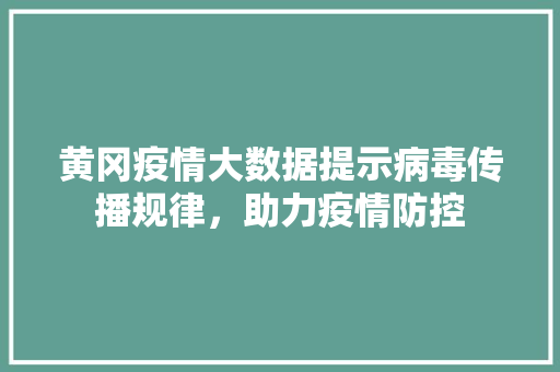 黄冈疫情大数据提示病毒传播规律，助力疫情防控