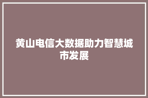 黄山电信大数据助力智慧城市发展