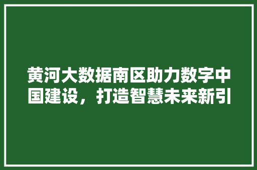 黄河大数据南区助力数字中国建设，打造智慧未来新引擎