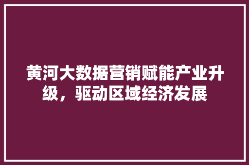 黄河大数据营销赋能产业升级，驱动区域经济发展