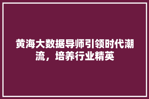 黄海大数据导师引领时代潮流，培养行业精英  第1张