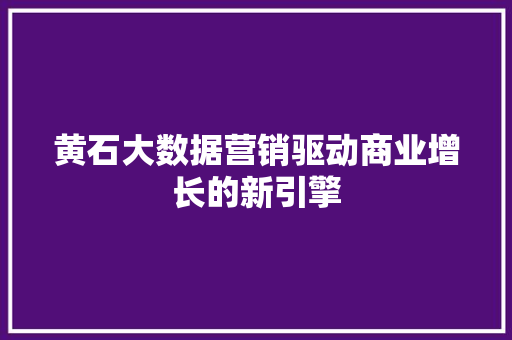 黄石大数据营销驱动商业增长的新引擎