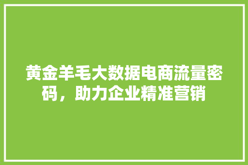 黄金羊毛大数据电商流量密码，助力企业精准营销