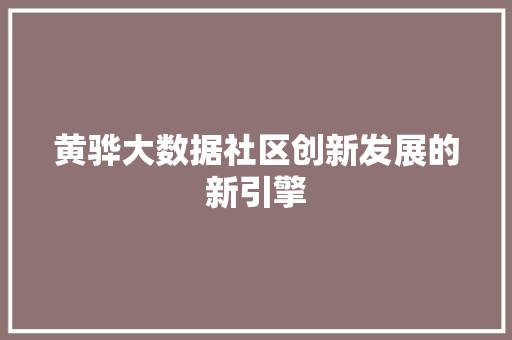 黄骅大数据社区创新发展的新引擎