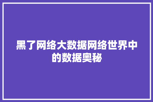 黑了网络大数据网络世界中的数据奥秘