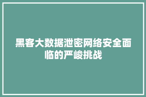 黑客大数据泄密网络安全面临的严峻挑战