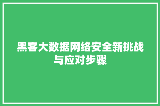 黑客大数据网络安全新挑战与应对步骤
