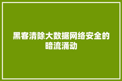 黑客清除大数据网络安全的暗流涌动  第1张