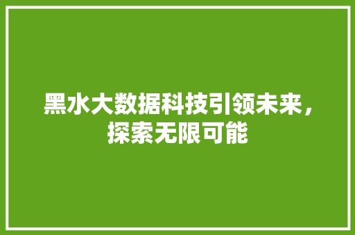 黑水大数据科技引领未来，探索无限可能