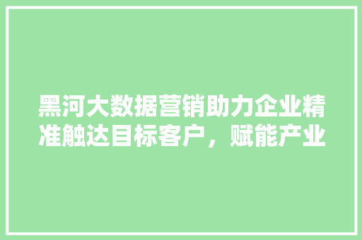 黑河大数据营销助力企业精准触达目标客户，赋能产业发展新格局
