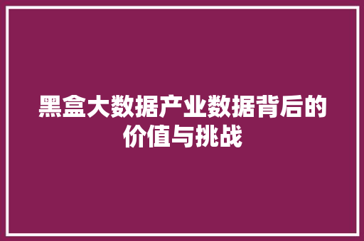 黑盒大数据产业数据背后的价值与挑战
