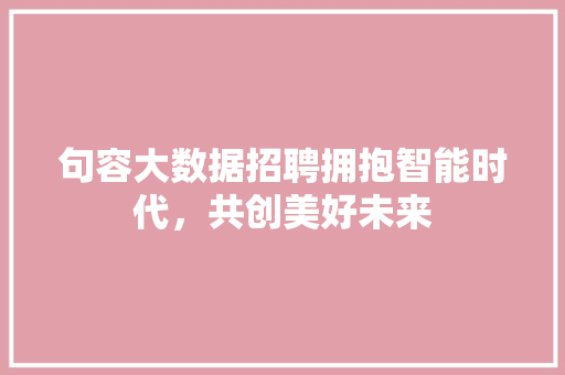 句容大数据招聘拥抱智能时代，共创美好未来