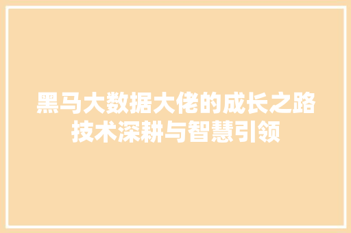 黑马大数据大佬的成长之路技术深耕与智慧引领