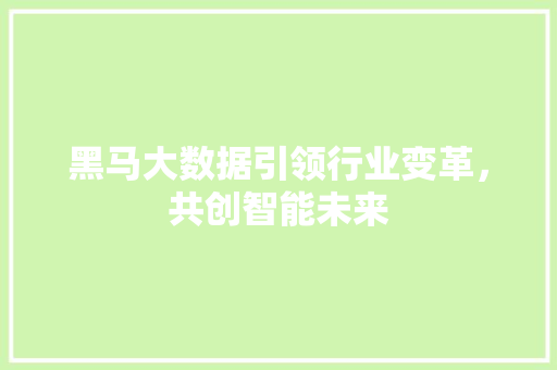 黑马大数据引领行业变革，共创智能未来
