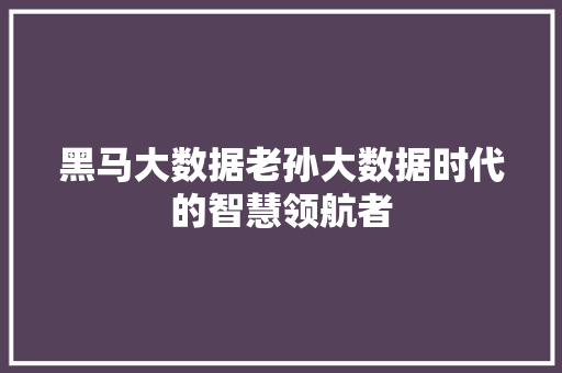 黑马大数据老孙大数据时代的智慧领航者  第1张