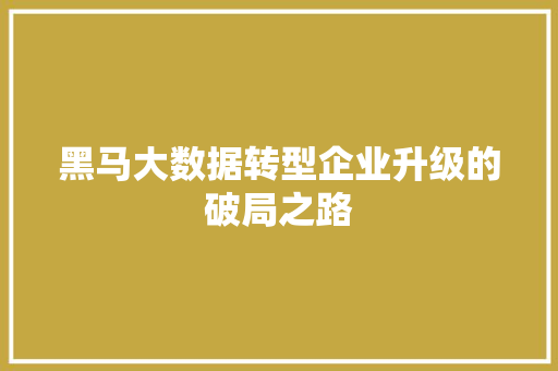 黑马大数据转型企业升级的破局之路