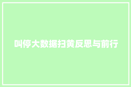 叫停大数据扫黄反思与前行  第1张