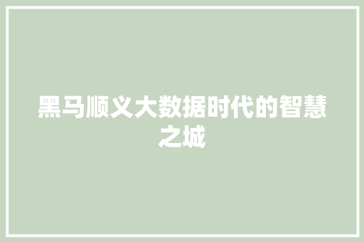 黑马顺义大数据时代的智慧之城