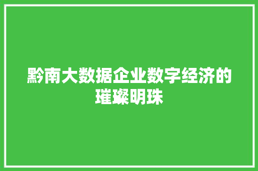 黔南大数据企业数字经济的璀璨明珠