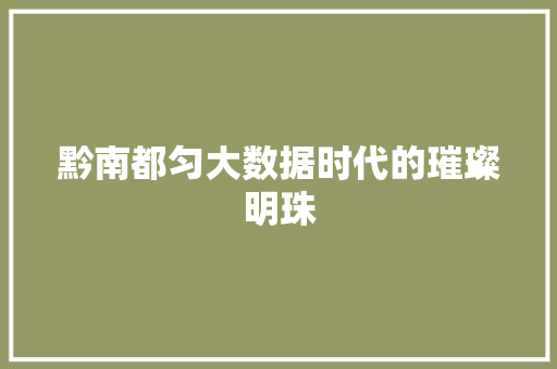 黔南都匀大数据时代的璀璨明珠  第1张