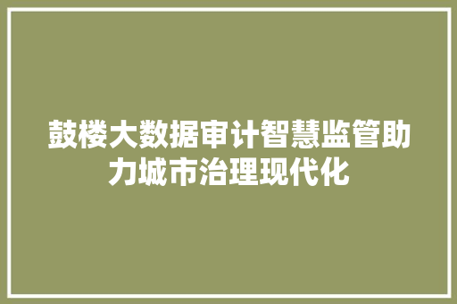鼓楼大数据审计智慧监管助力城市治理现代化
