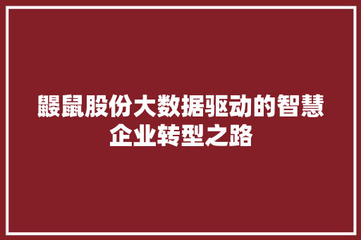 鼹鼠股份大数据驱动的智慧企业转型之路  第1张