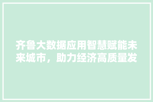 齐鲁大数据应用智慧赋能未来城市，助力经济高质量发展