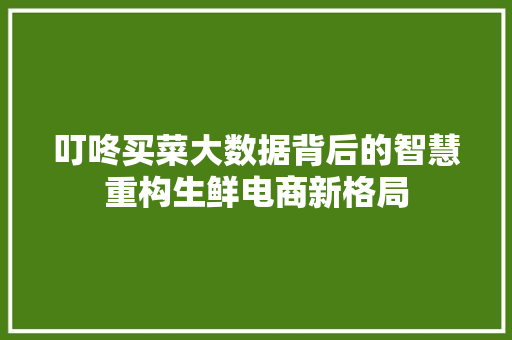 叮咚买菜大数据背后的智慧重构生鲜电商新格局  第1张