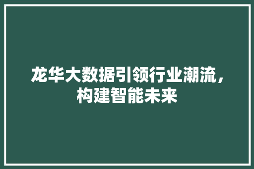龙华大数据引领行业潮流，构建智能未来