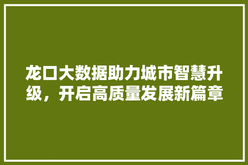 龙口大数据助力城市智慧升级，开启高质量发展新篇章