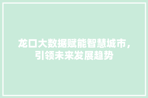 龙口大数据赋能智慧城市，引领未来发展趋势