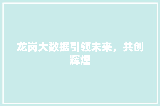龙岗大数据引领未来，共创辉煌
