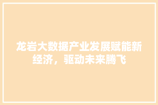 龙岩大数据产业发展赋能新经济，驱动未来腾飞