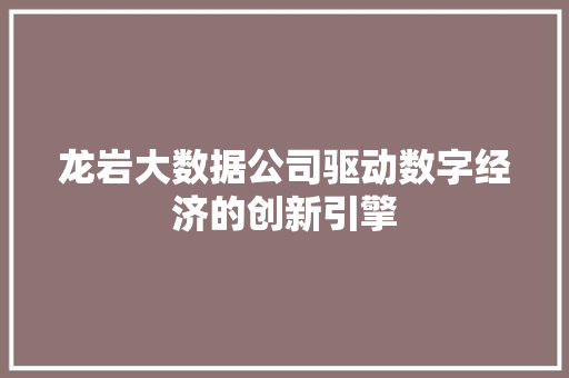 龙岩大数据公司驱动数字经济的创新引擎  第1张
