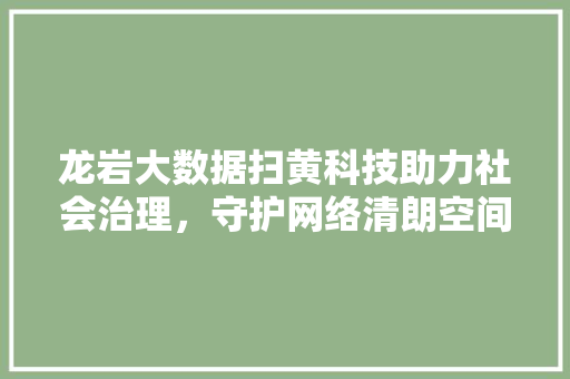 龙岩大数据扫黄科技助力社会治理，守护网络清朗空间