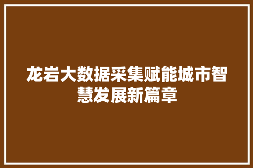 龙岩大数据采集赋能城市智慧发展新篇章
