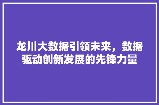 龙川大数据引领未来，数据驱动创新发展的先锋力量  第1张