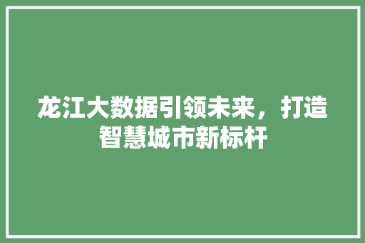 龙江大数据引领未来，打造智慧城市新标杆