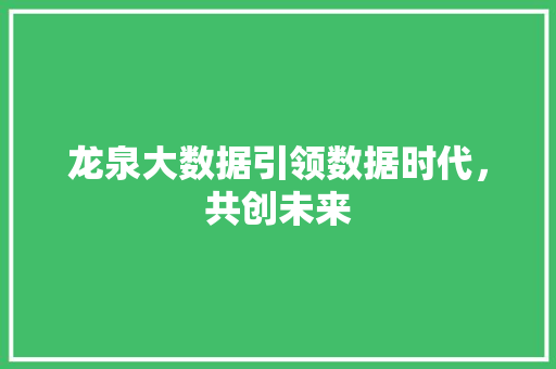 龙泉大数据引领数据时代，共创未来  第1张